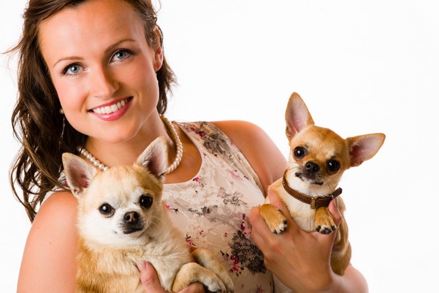 Becky y sus dos chihuahuas Clara y Chispa
