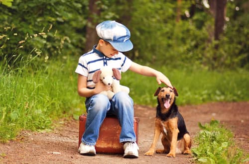 niño alemán con su perro