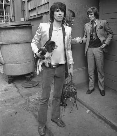 Mick Jagger con su perro 
