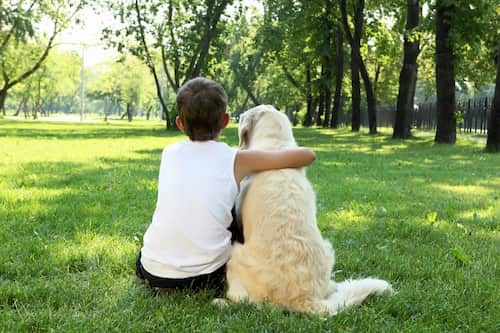 Niño con su perro golden retriever en hyde park, londres
