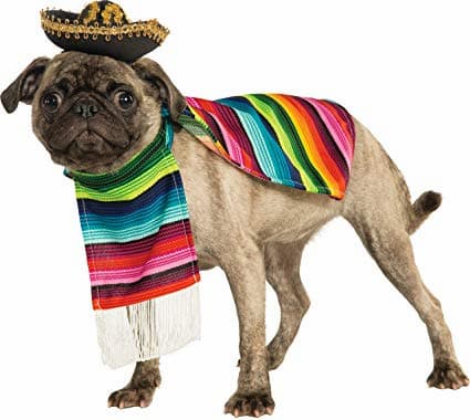 Nombres mexicanos para perro