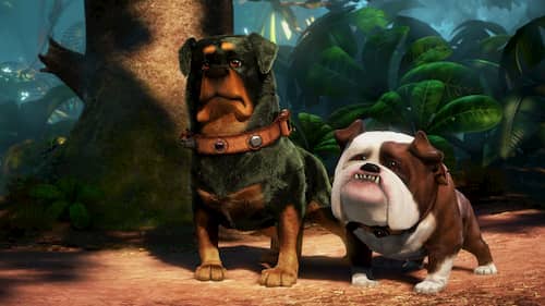 beta y gamma pelicula up