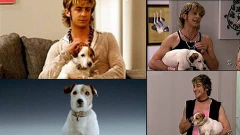 camilo russel terrier