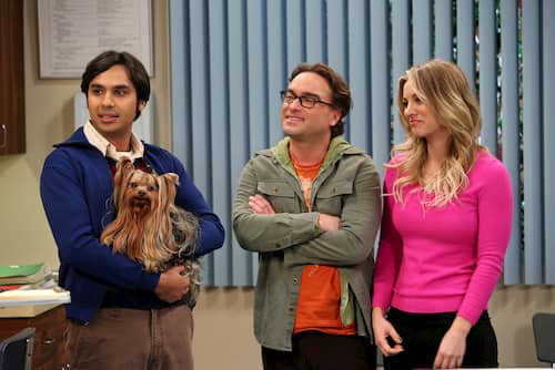 cinnamon big bang theory