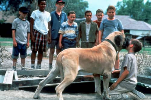 Hercules perro de la pelicula the sand lot