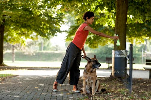 Mujer con su perro paseando