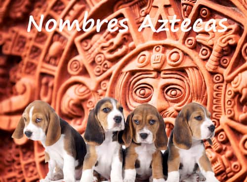Nombres para perros aztecas 