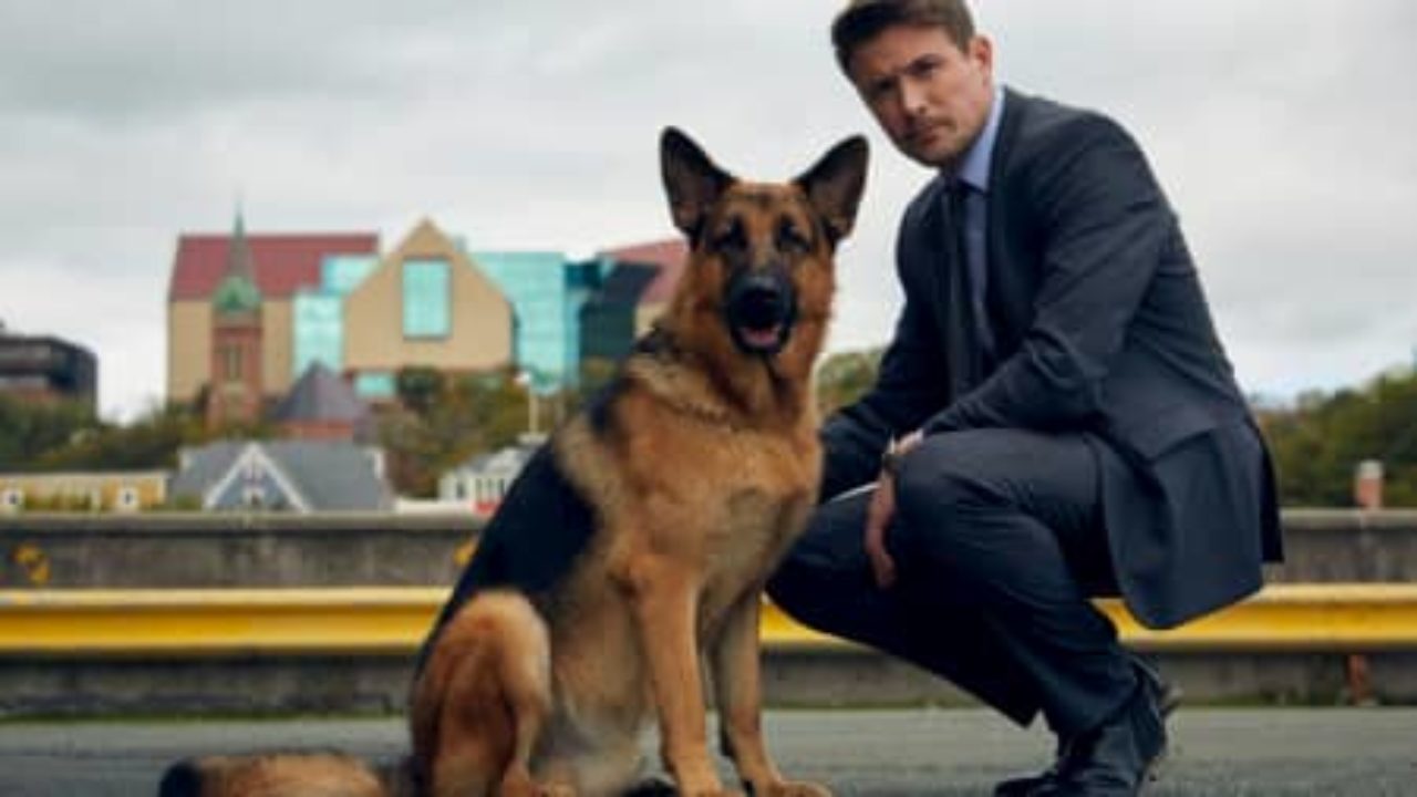 Nombres De Perros De Peliculas 2 Ideas De Nombres De Peliculas