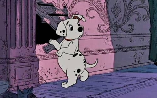 Doctrina Profesor de escuela gene Nombres de perros de películas - 220+ Ideas de nombres de películas Doctrina Profesor de escuela gene Nombres de perros de películas - 220+ Ideas de nombres de películas