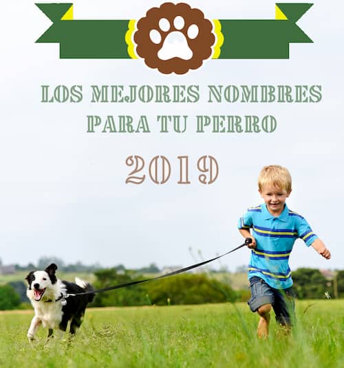Mas De 1000 Nombres Para Perros