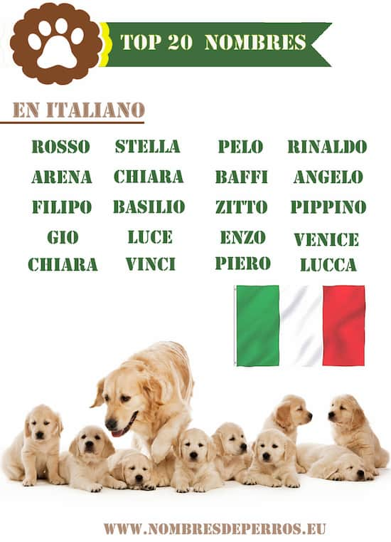 Top 20 nombres en italiano para perros