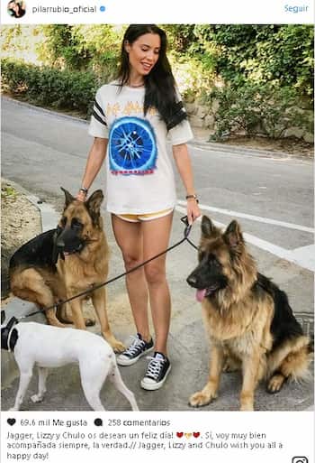 Jagger y lizzy, perros de sergio ramos