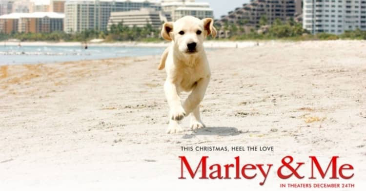 nombres de perros de peliculas hollywood