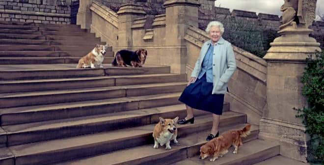 corgi de la reina isabel segunda