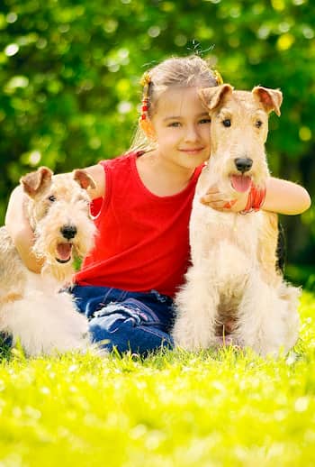 nombres de parejas para perros 