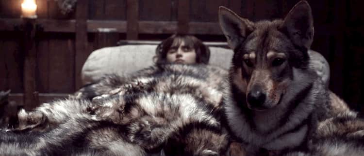 nombres perros game of thrones