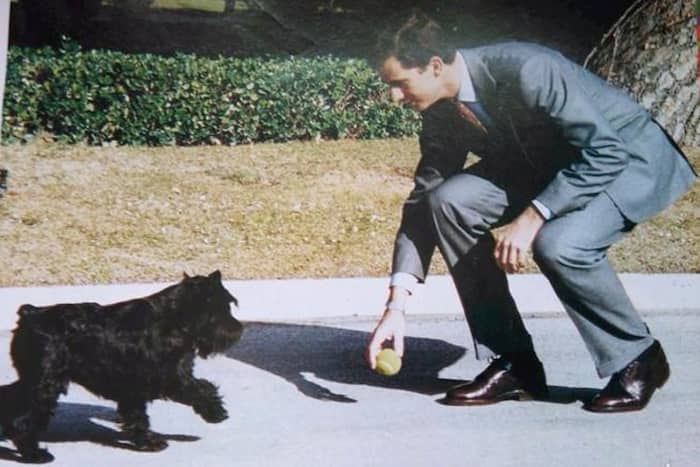 perro del rey felipe de españa 