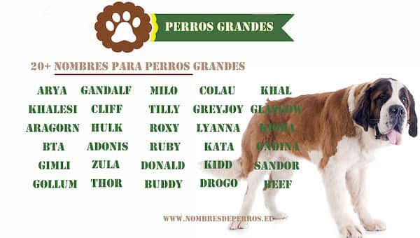 Nombres para perros grandes