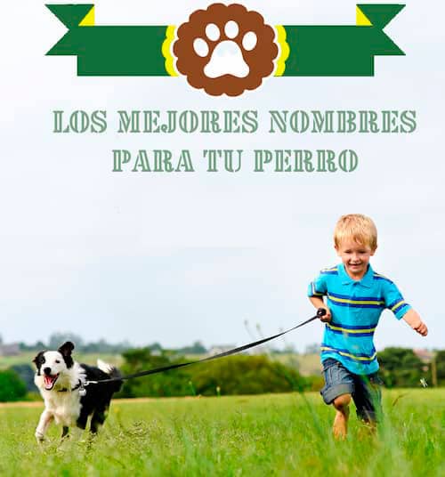 los mejores nombres para tu perro 