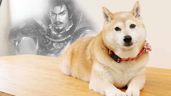 nombres otakus para perros