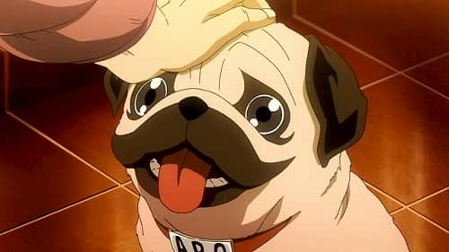 pug de dibujos otakus siendo acariciado